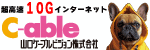 広告主:山口ケーブルビジョン株式会社