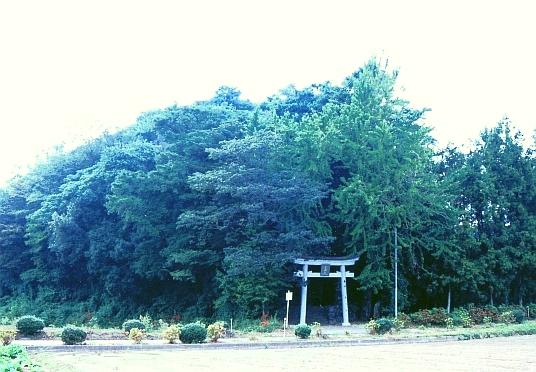 周りを山に囲まれた中に鳥居がある三島神社の社叢の写真