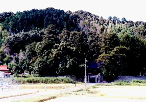前面は畑で奥は森に囲まれた神功皇后神社の社叢の写真
