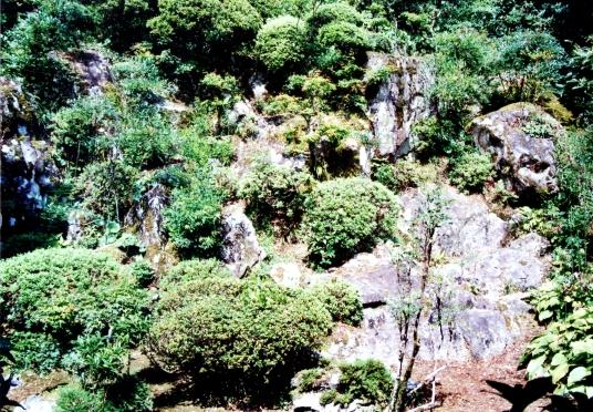 岩と青々とした木々の枯山水庭園の写真