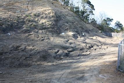 美祢市化石採集場の地層の写真