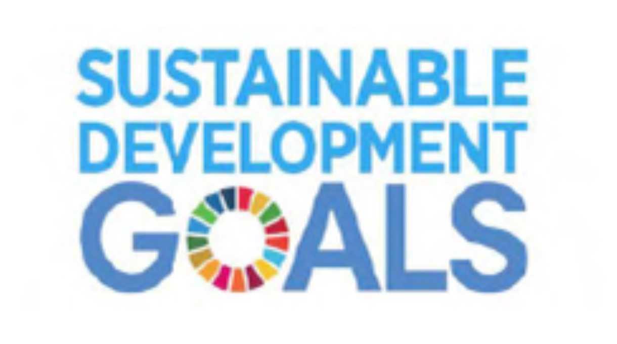 「SUSTAINABLE DEVELOPMEMT GOALS」のロゴ